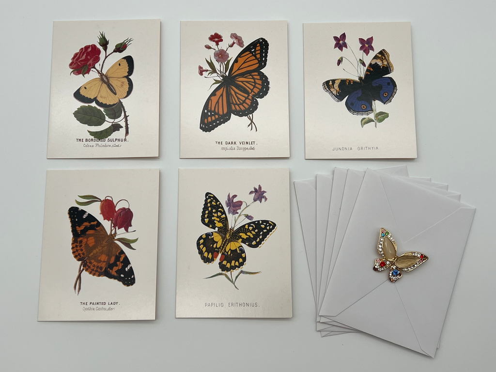 Vintage Metropolitan Museum Butterfly Greeting Card Set