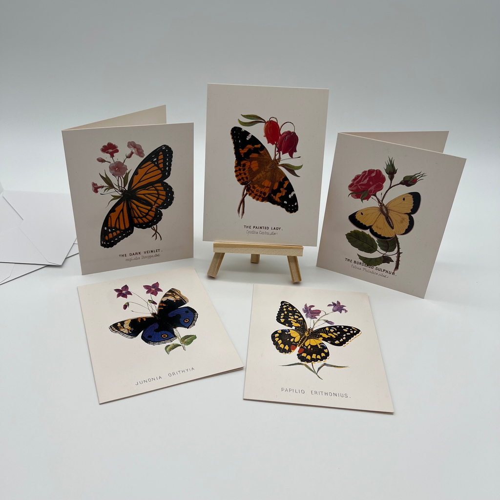 Vintage Metropolitan Museum Butterfly Greeting Card Set